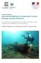 International Meeting on Underwater Cultural Heritage and Site Protection