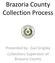 Brazoria County Collection Process. Presented by: Gail Grigsby Collections Supervisor of Brazoria County